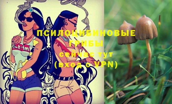 2c-b Вуктыл