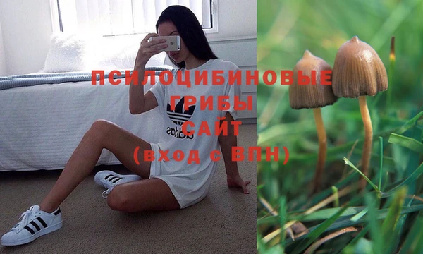 кокаин колумбия Рославль