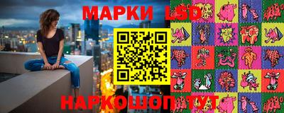 крисы Шахты