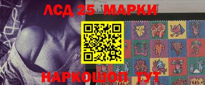 крисы Шахты