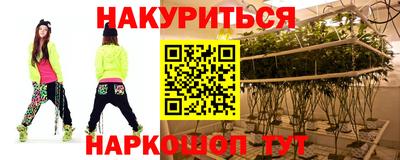 крисы Шахты