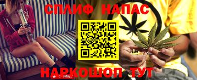 крисы Шахты