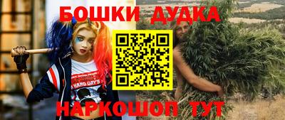 крисы Шахты