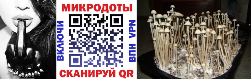 цена наркотик  Протвино  Галлюциногенные грибы мухоморы 