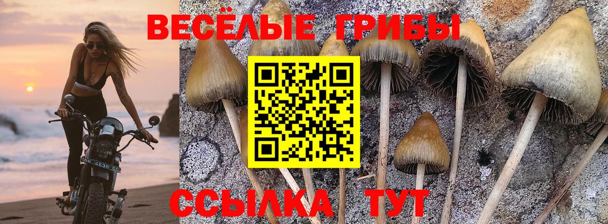 Протвино  Галлюциногенные грибы мухоморы  Вход с VPN  Псилоцибиновые грибы MAGIC MUSHROOMS 