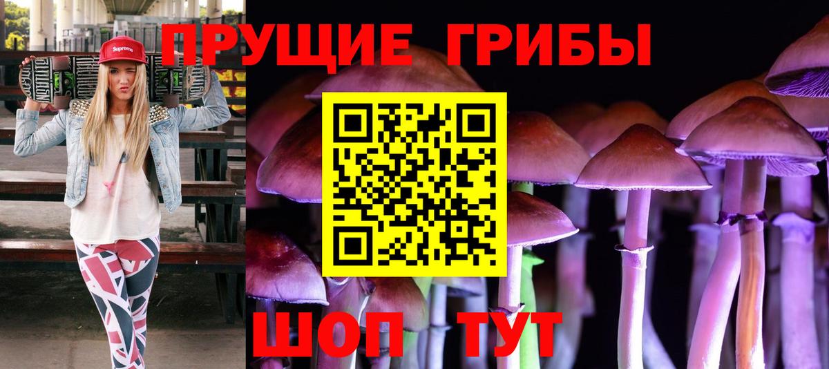 Галлюциногенные грибы Cubensis Протвино
